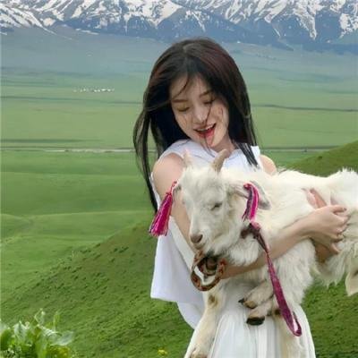 奔跑的蔷薇